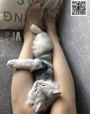镇魂街4