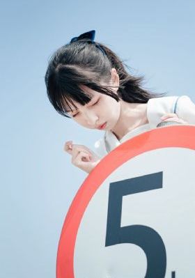 九重紫共多少集